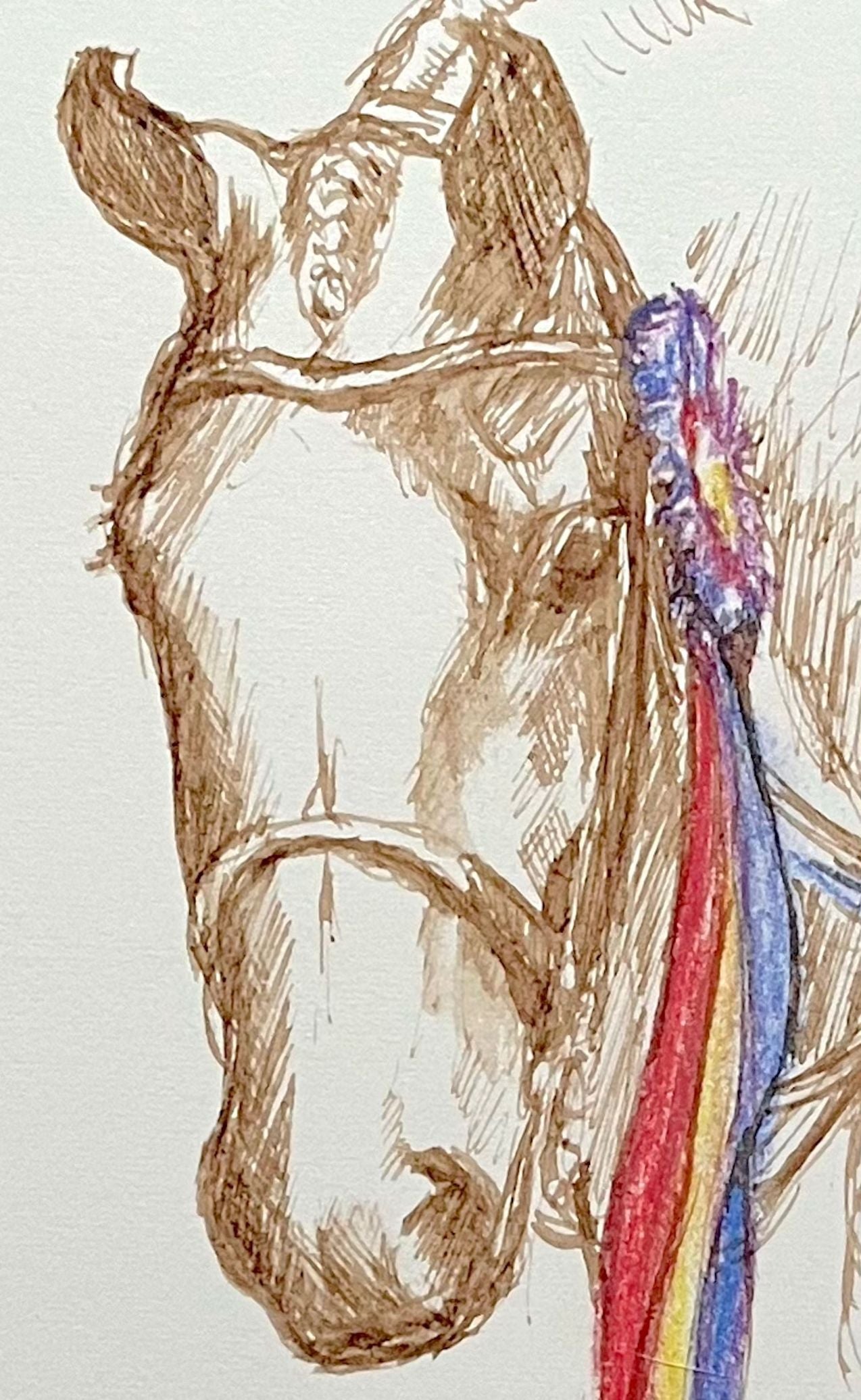 The Champion