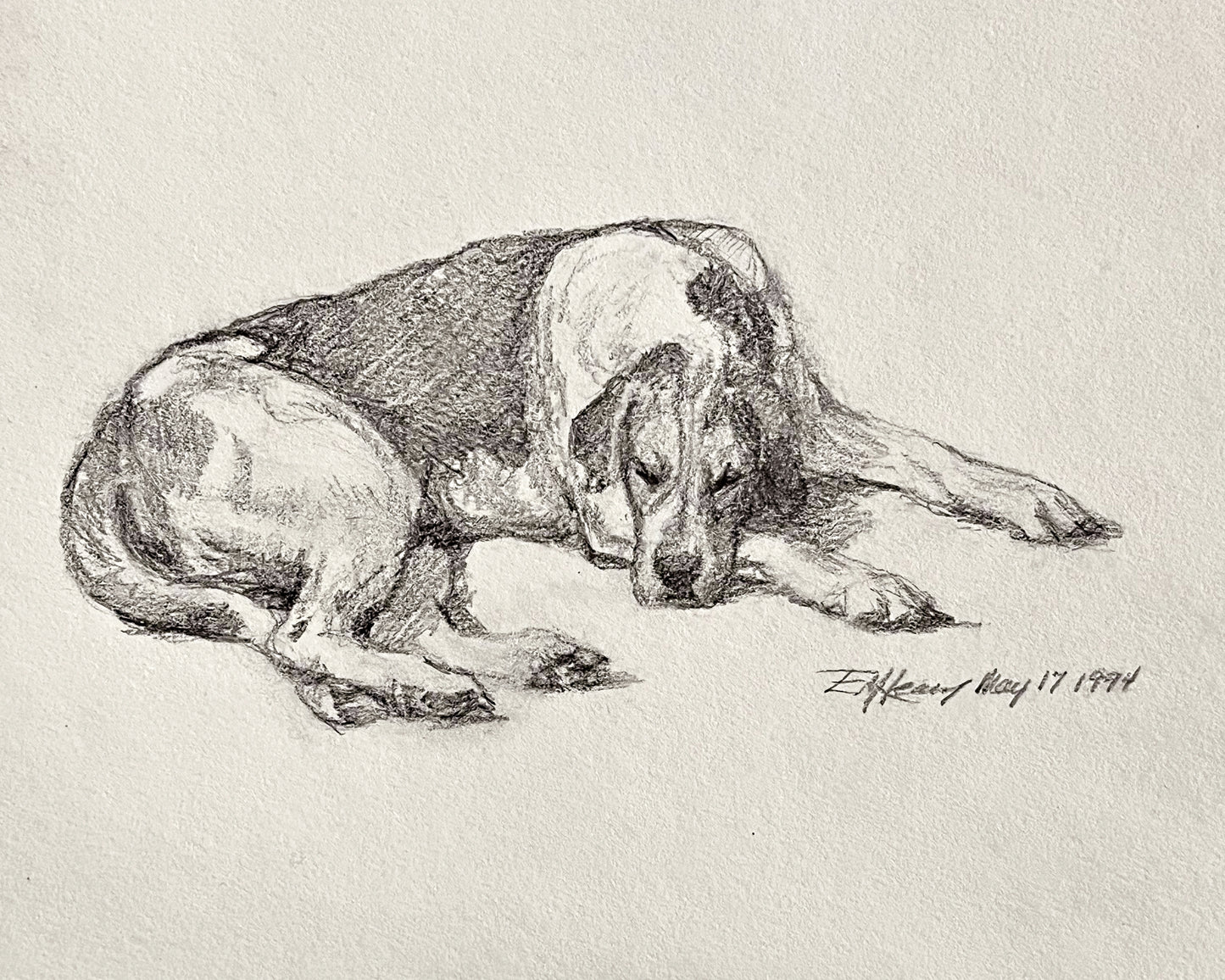 Resting Hound