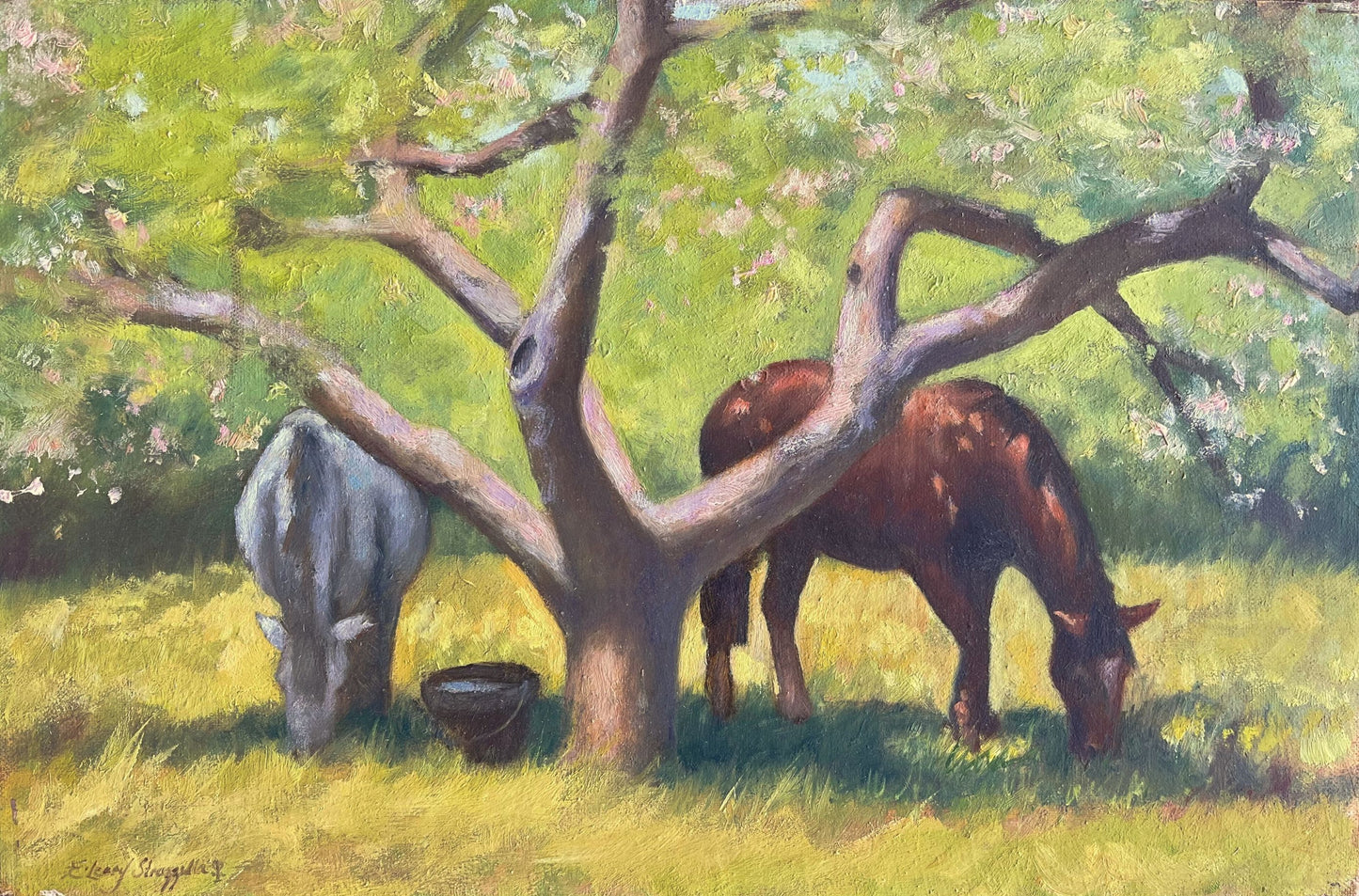 Under The Apple Tree