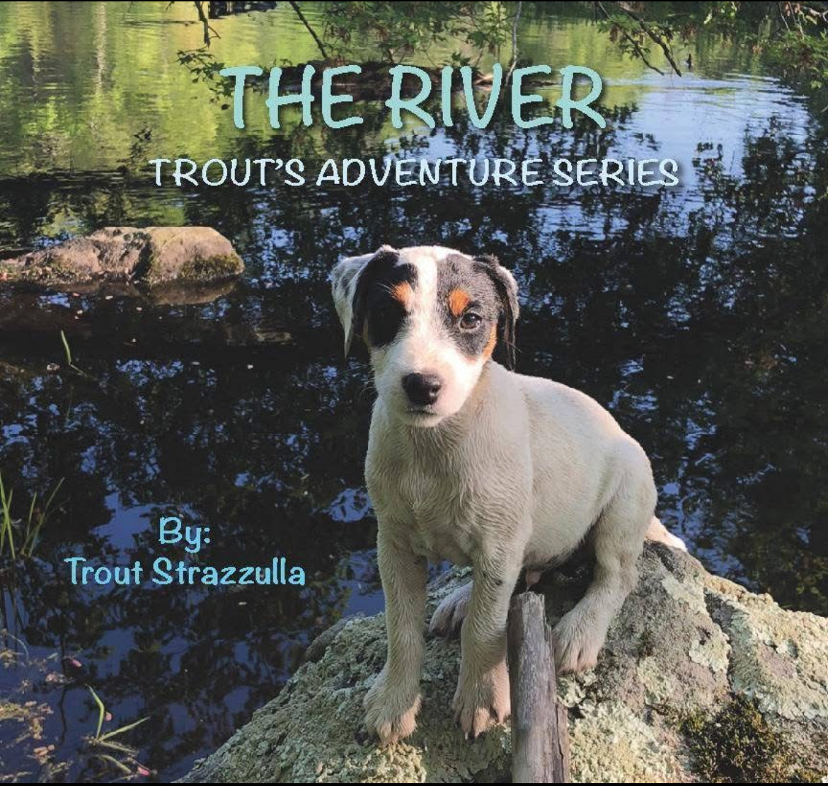 Trout's Adventure Series: The River