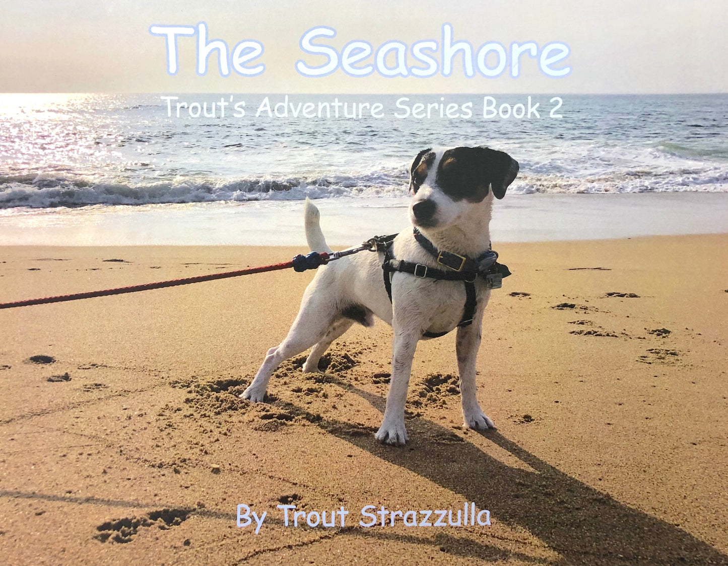 Trout's Adventure Series: The Seashore