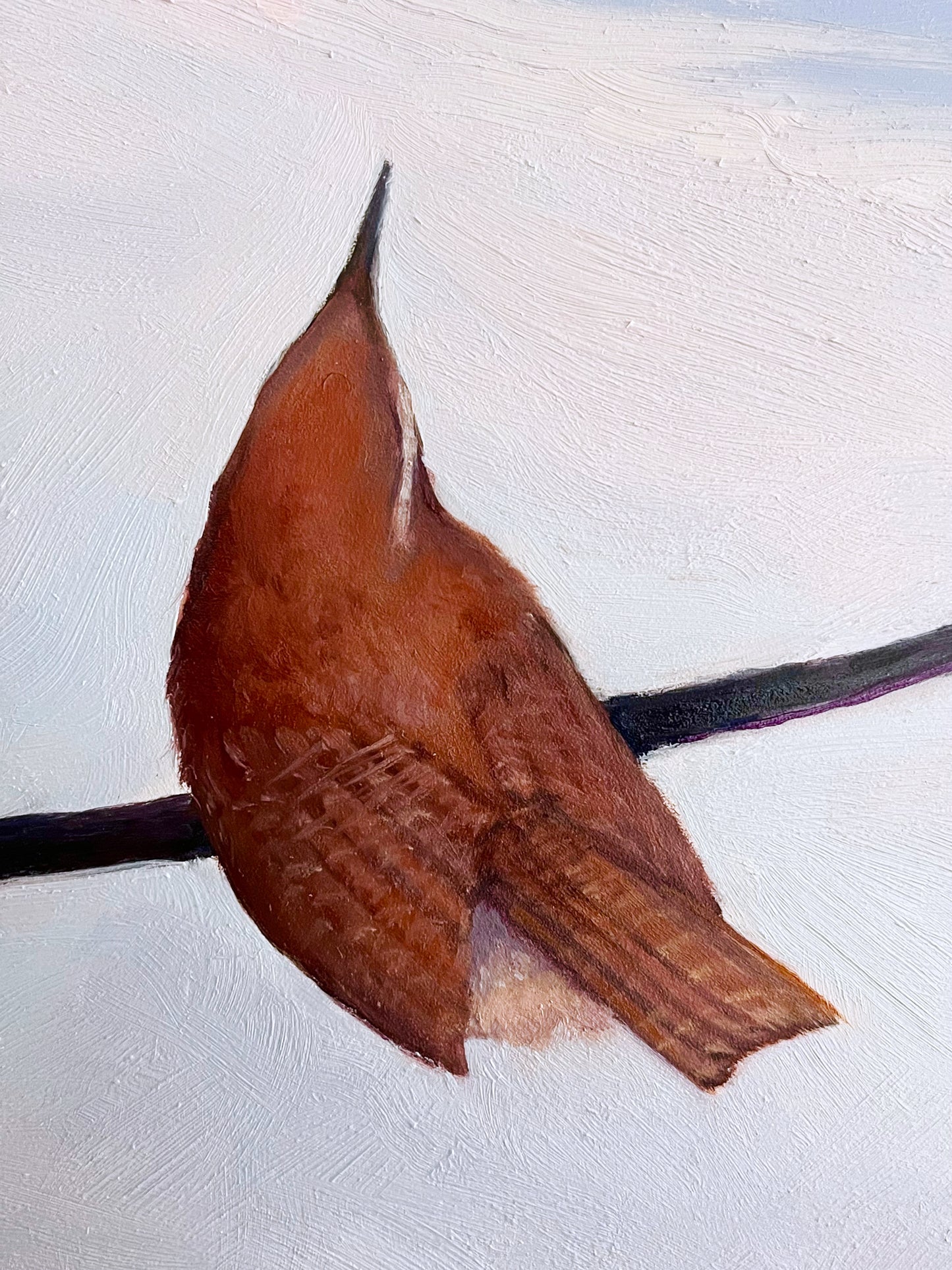 Winter Wren in the Snow