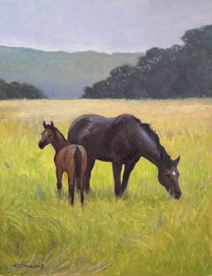 Gentle Beginnings