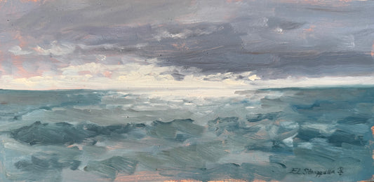 Hurricane Erin 1