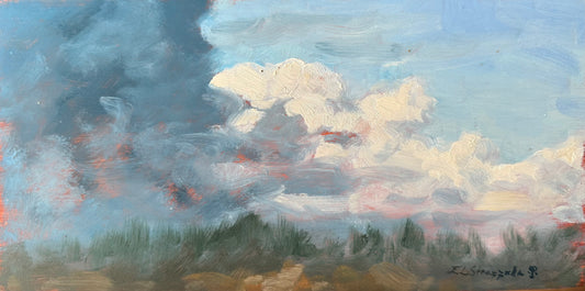 Hurricane Erin Clouds