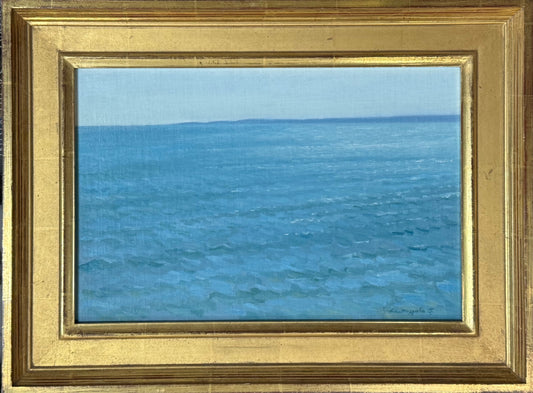 The Shimmering Sea