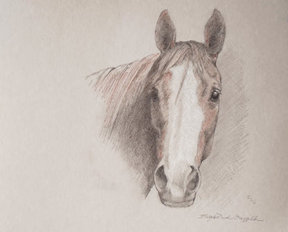 The Beautiful Blaze