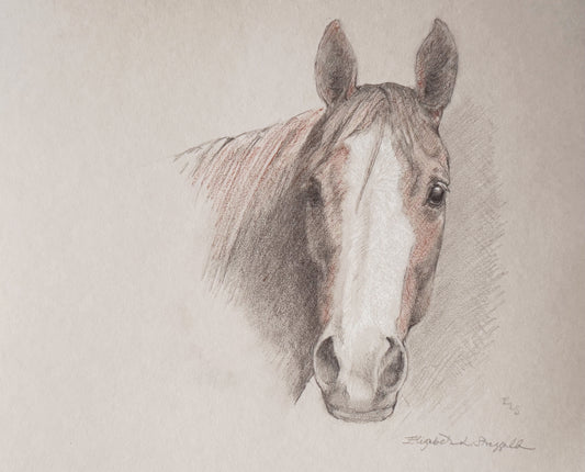 The Beautiful Blaze
