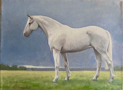 The Grey Mare